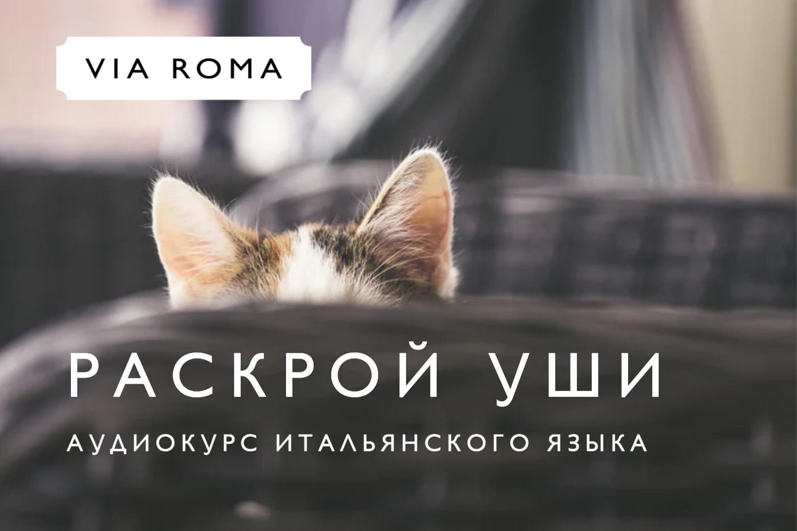 Новости